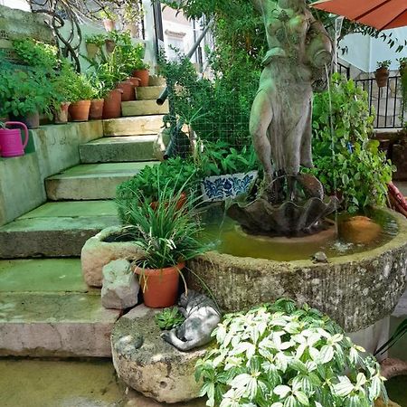 منزل الضيف البوسكي  في Casa Paco المظهر الخارجي الصورة